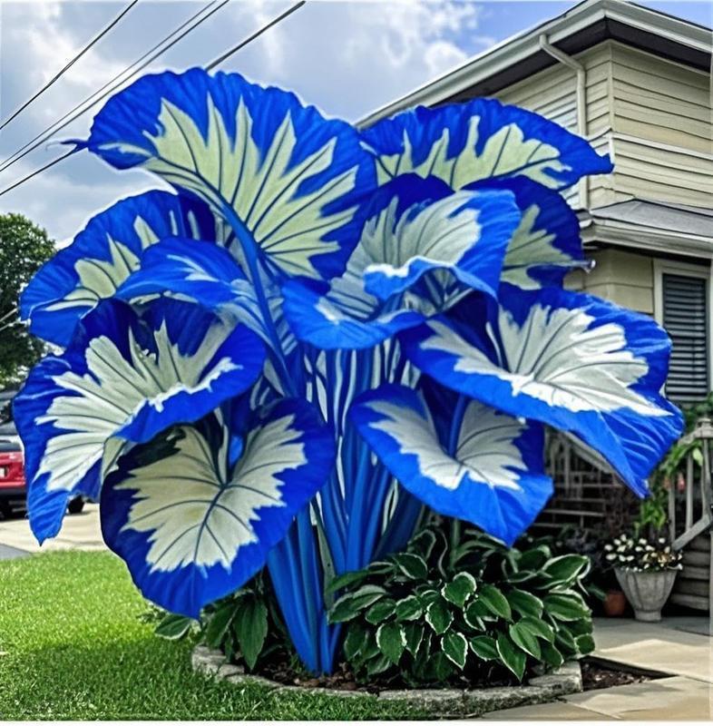 800pcs Mixed Hosta Seeds β Colorful Shade-Loving Perennials for Garden Borders & Landscaping β Easy to Grow, Perfect for Lush Green Spaces