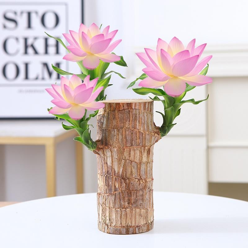 Brazilian Wood Bonsai – Potted Lucky Plant for Desktop or Gift Use