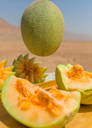 Reticulated Cantaloupe Seeds