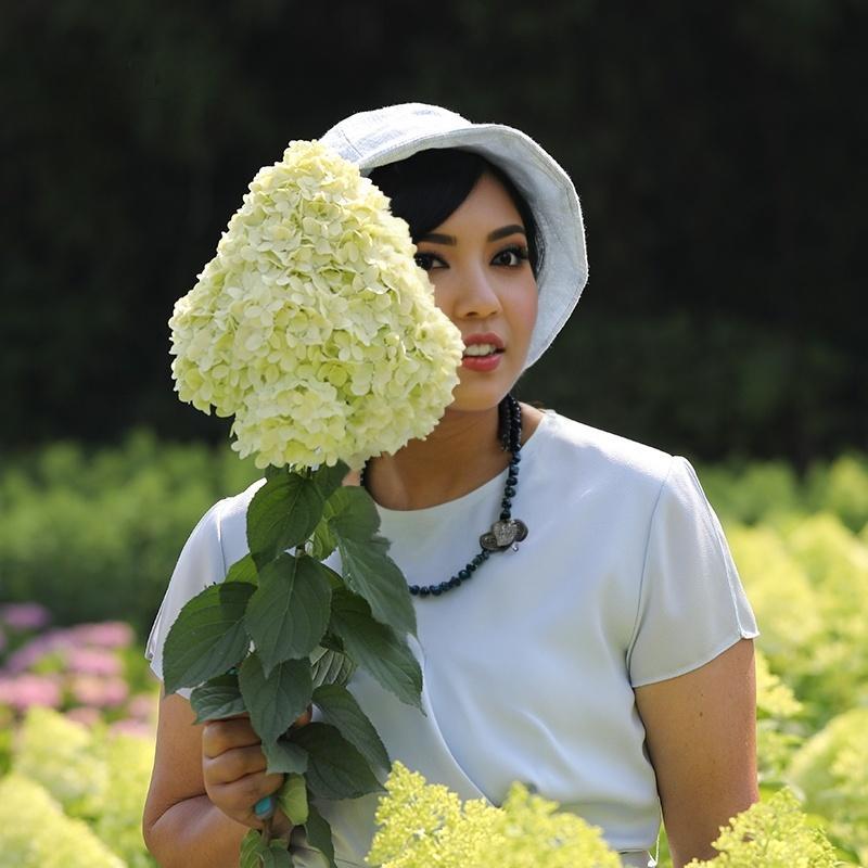 Premium White Hydrangea Seeds - 200+ Seeds Per Pack for Gorgeous Garden Blooms