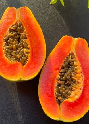 Red Heart Creamy Papaya Seeds