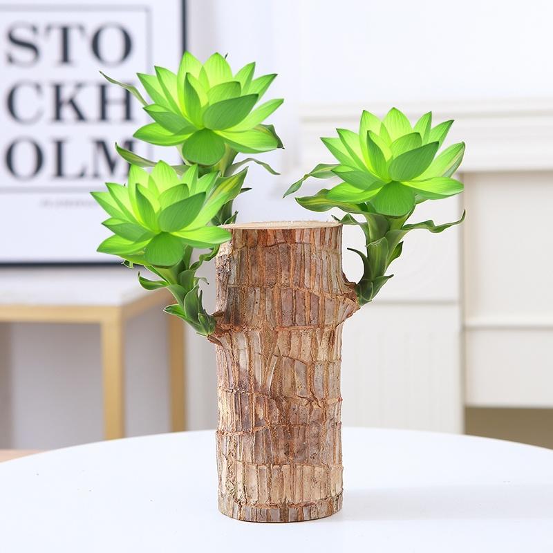 Brazilian Lucky Wood Set – Includes Tree, Tray & Mystery Doll for Fortune & Desktop Décor