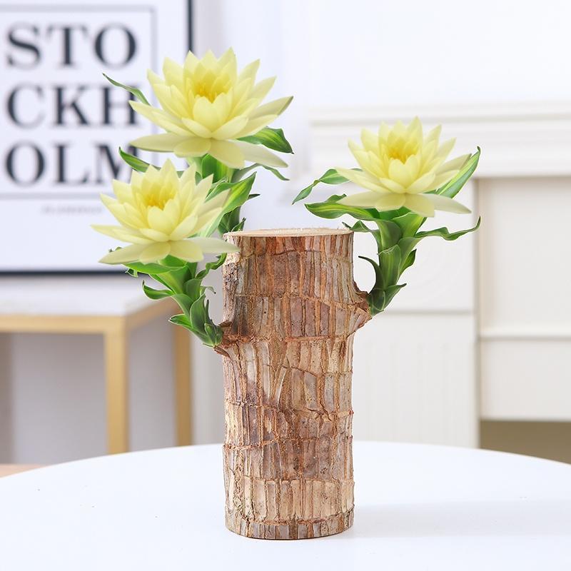 Lucky Brazilian Wood Tree with Elegant Ceramic Pot & Enchanted Doll – Symbol of Growth and Positive Energy