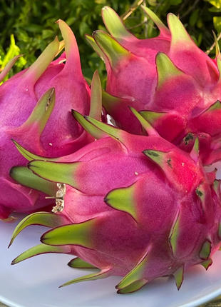 Red Heart Dragon Fruit